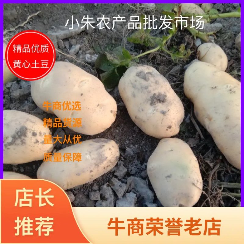新疆阿克苏荷兰十五土豆富硒土豆3两起无青头打冷耐运输皮光色鲜