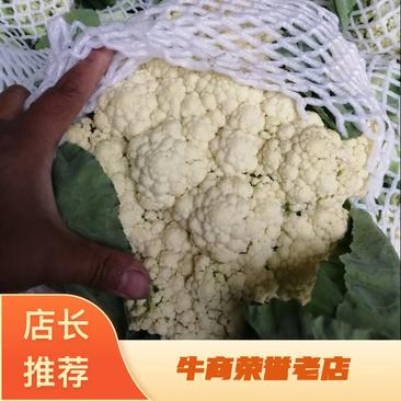 【牛商精选商家】松花菜2~3斤，量大从优，产地直发