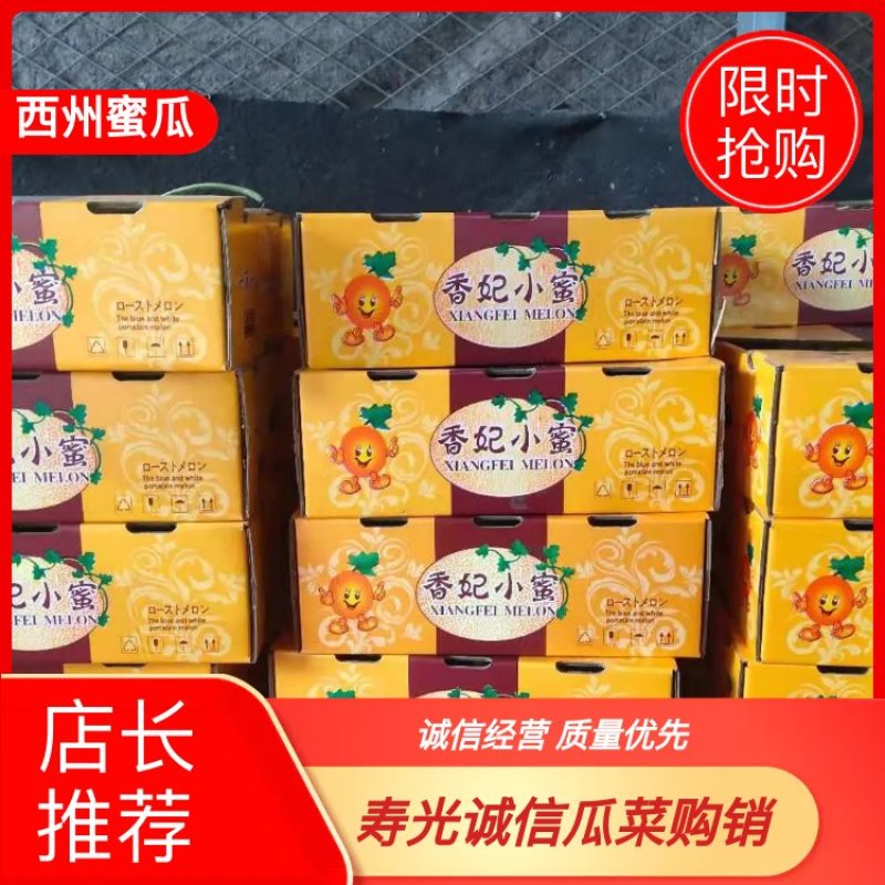 寿光哈密瓜基地西周蜜瓜25大量上市欢迎洽谈电商