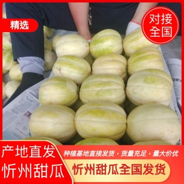 忻州甜瓜大量上市需要的联系