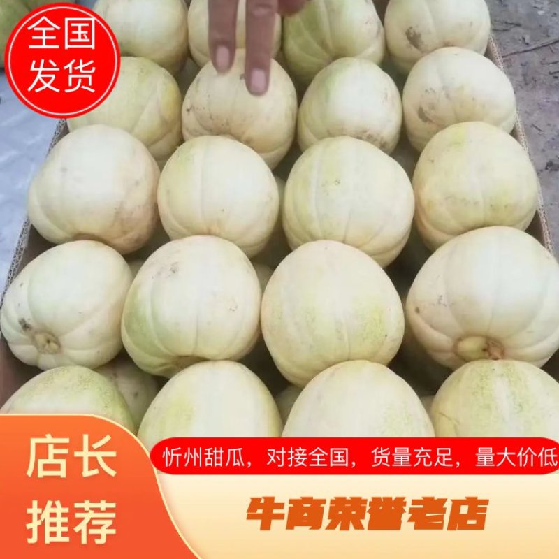 山西忻州本地甜瓜大量上市，需要的老板联系