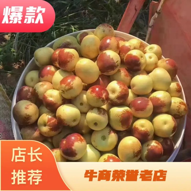 热卖精品沾化冬枣，酥脆甘甜，产地直供，电商对接，欢迎品鉴