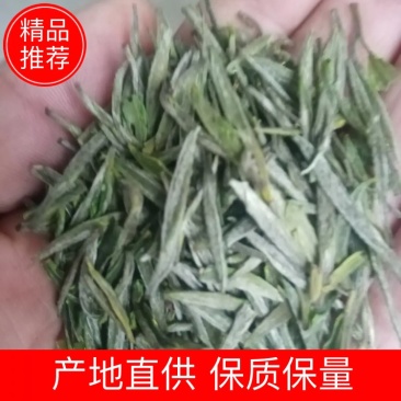 信阳毛尖商城高山茶