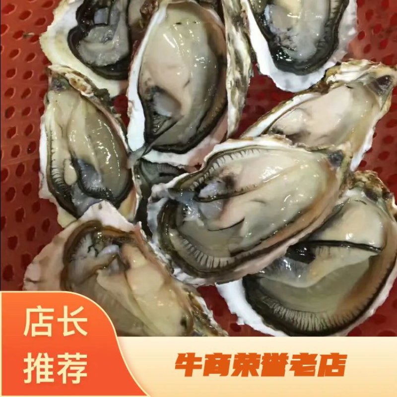 生蚝鲜活烧烤深海原汁鲜蚝牡蛎带壳1件5斤家庭装不包邮