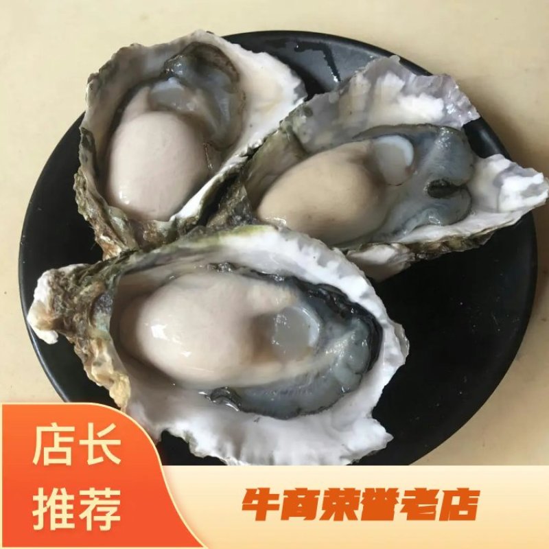生蚝鲜活全壳深海烧烤牡蛎新鲜海蛎子批发原产地直供