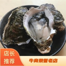 生蚝鲜活全壳新鲜深海牡蛎烧烤深海吊养海蛎子