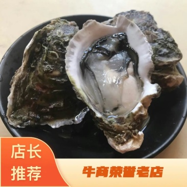 生蚝鲜活全壳新鲜深海牡蛎烧烤深海吊养海蛎子