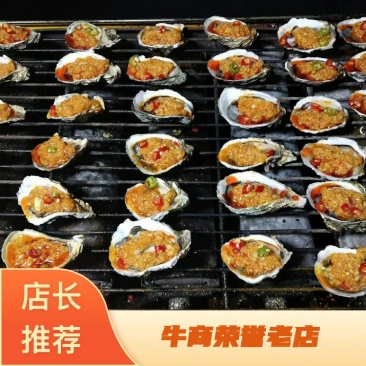 生蚝鲜活全壳烧烤牡蛎汫洲原产地直销大批量供货