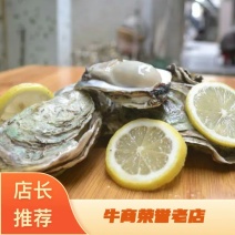 生蚝鲜活全壳烧烤牡蛎高压锅生蚝带壳生吃品质脆蚝