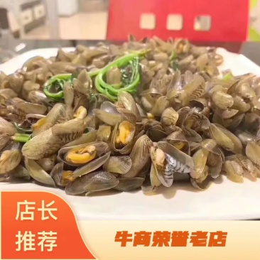 海瓜子鲜活当季薄壳带壳批发原产地汫洲直供配九层塔