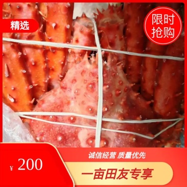 智利进口熟冻帝王蟹1200/1400/1600/180
