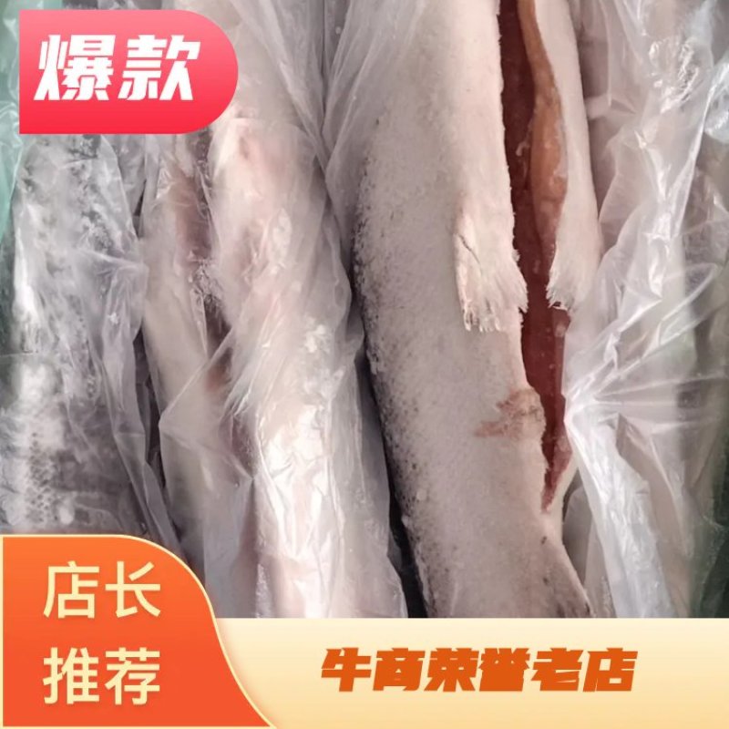 智力优级三文鱼冻品！6/7/8/9肉质细腻刺身佳品