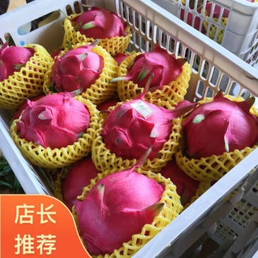 红心火龙果/广西地区/社区团购/一件代发/诚招代理/
