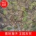 【推荐】迷彩青蛙1两以上养殖基地一手货源质量保证线上交易！