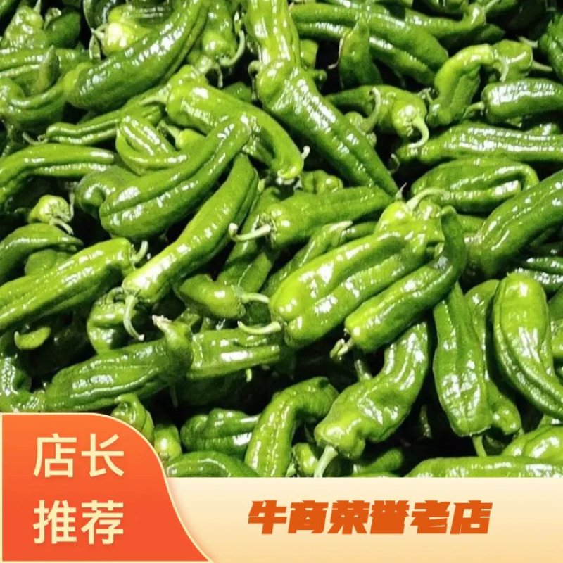精皮辣椒质量优美欢迎广大客户咨询订购！