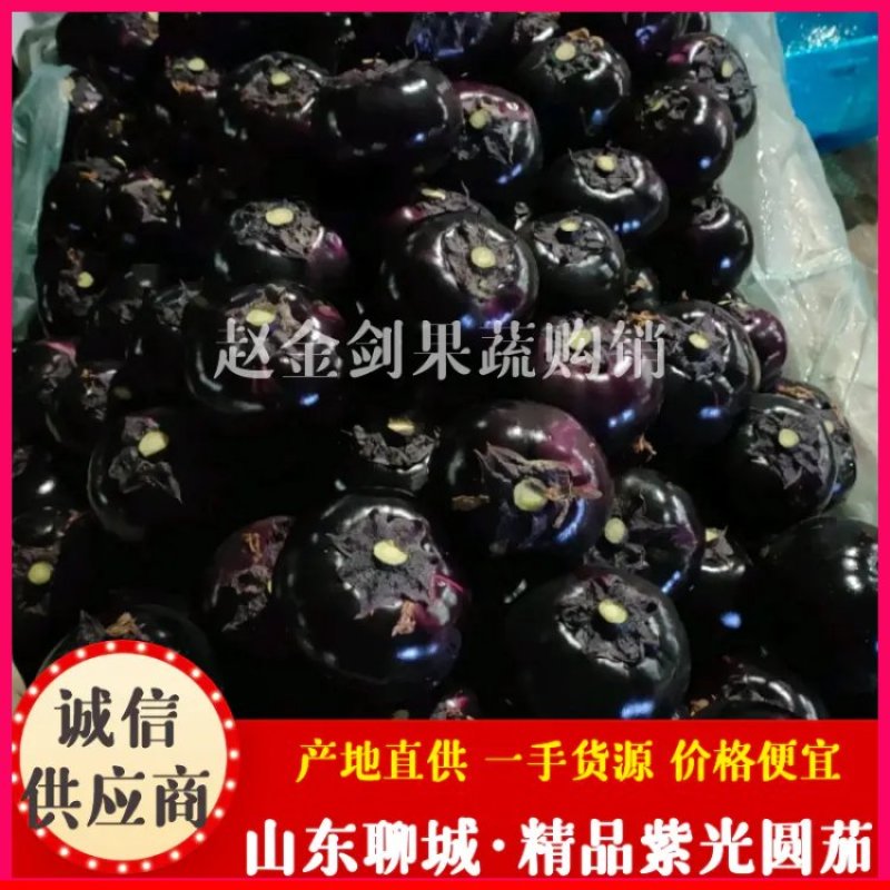 精品紫光圆茄4两以上颜色好形状好一手货源价格便宜