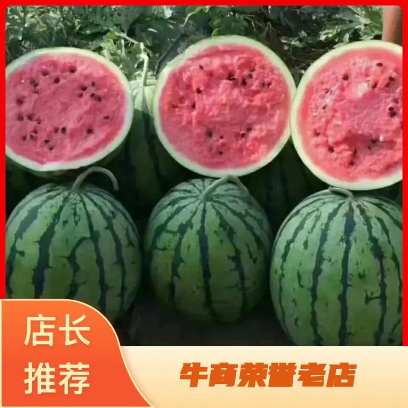 【精品】吉林庆红京欣地雷瓜产地直发一手货源品质