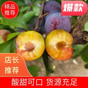 四川小脆红，汉源小脆红李子，脱骨李子，黄肉脆甜，电商优选