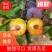 四川小脆红，汉源小脆红李子，脱骨李子，黄肉脆甜，电商优选