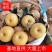 【精品】陕西城固丰水梨千亩基地大量上市中走货快可视频看货