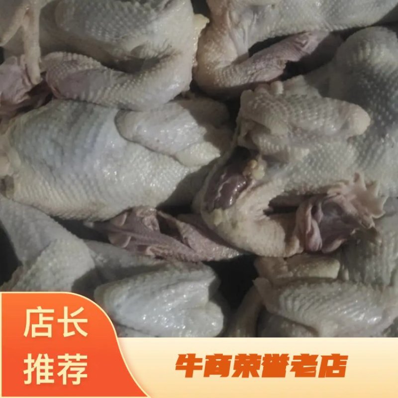 清真净膛纯干老母鸡，郑重承诺无死鸡、残鸡。低价保质保量！