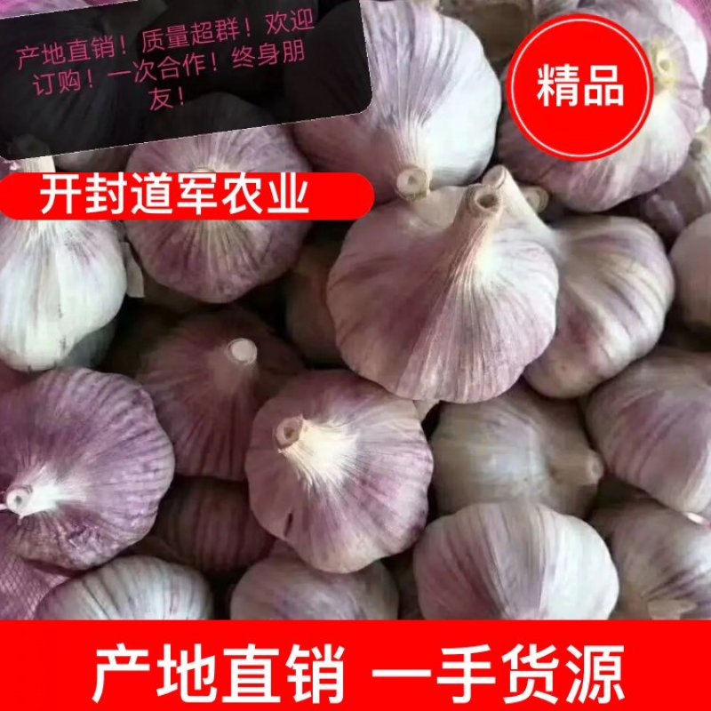 紫皮大蒜，杞县大蒜，产地直发！，保质保量！欢迎下单！