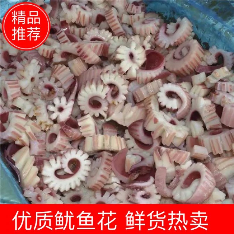 优质鱿鱼花冷冻齿轮花目鱼花风火轮鱿鱼花齿轮鱿鱼花