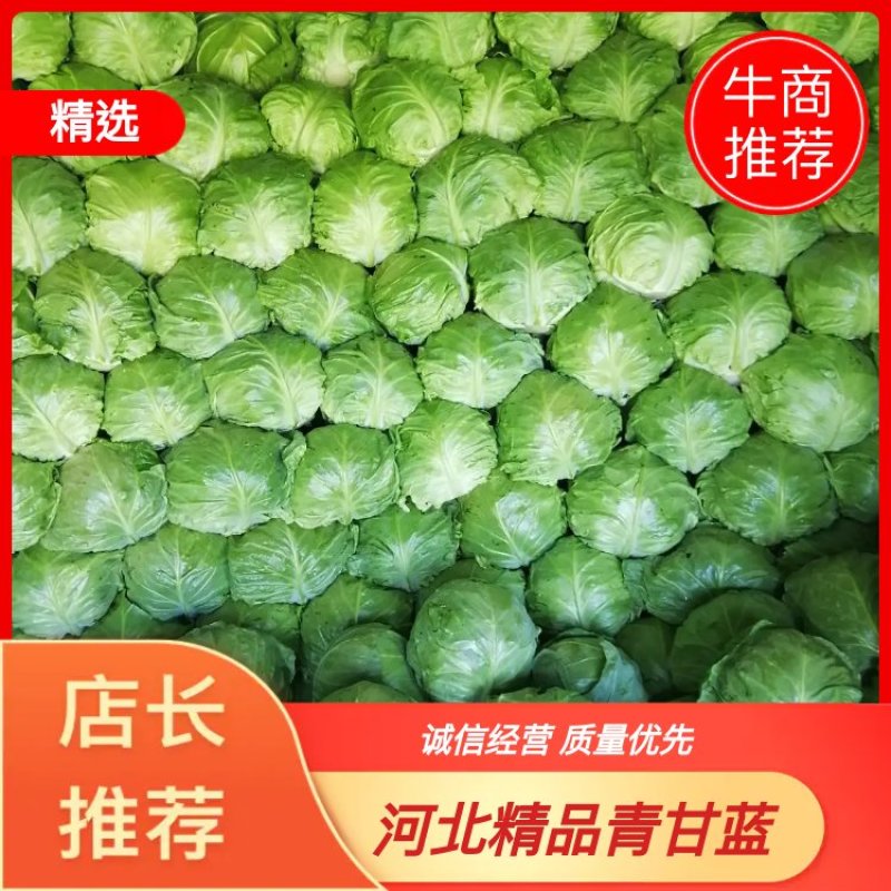 【精品推荐】河北张家口蔚县里外青甘蓝七成菜宣度有保证