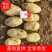 山东泰安肥城荷兰十五土豆冷库土豆价格优惠欢迎咨询下单