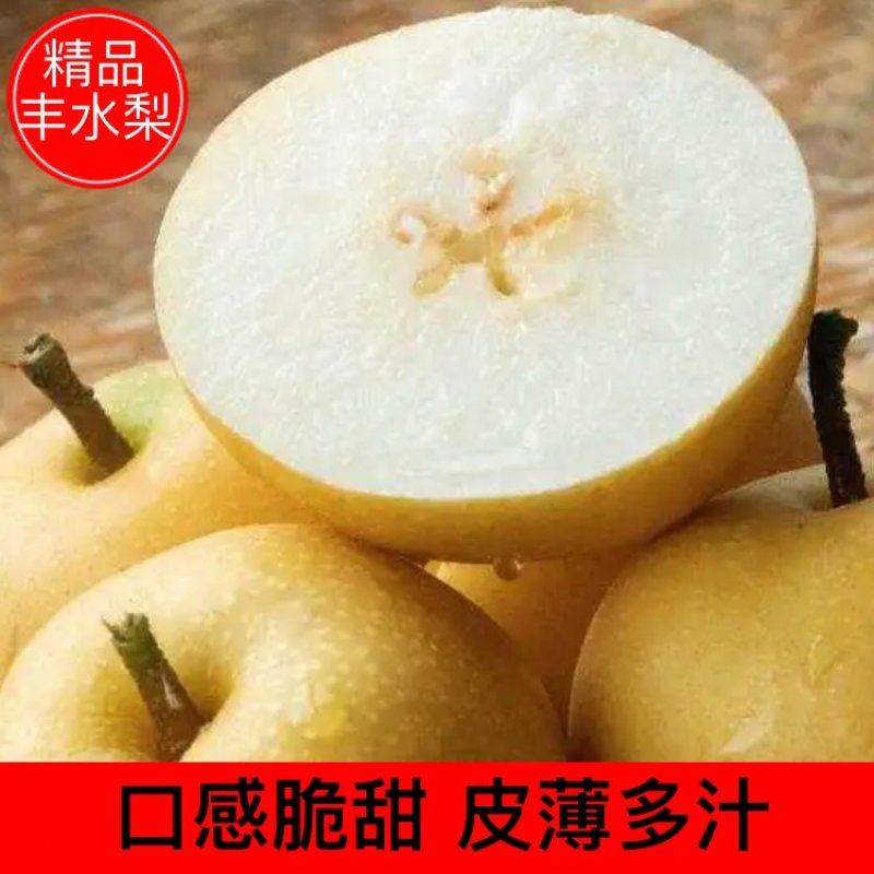 优选梨四川汉源丰水梨脆甜多汁一手货源量大价优