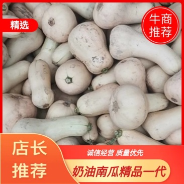 奶油南瓜，（加工厂）一手货源，产地直销。