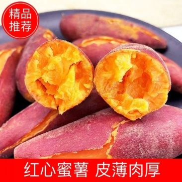 河南西瓜红薯蜜薯新货包邮2斤/3斤5斤/9斤一件代发红心红薯