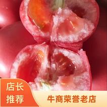 硬粉西红柿-弧三以上诚信代办超市专供，市场首先产地直