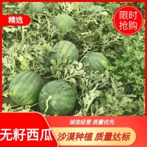 内蒙古通辽万亩无籽西瓜沙漠种植质量达标口感沙甜硬沙瓤耐运