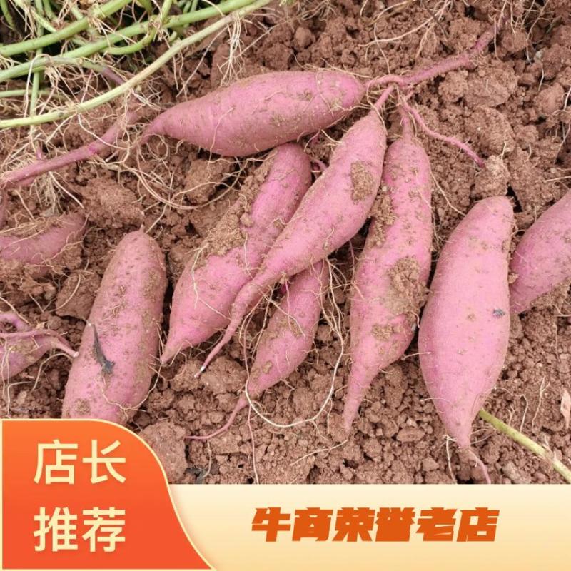 紫薯紫罗兰大量上市各种规格市场批发支持电商一件代