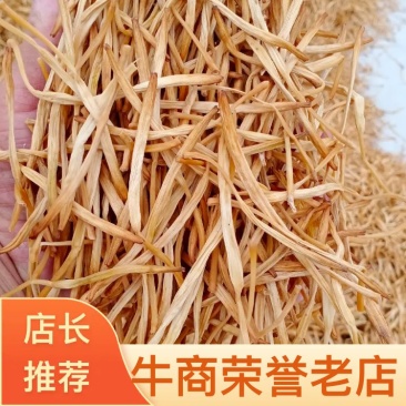 【推荐】忘忧草黄花菜也叫母亲花大量有货欢迎前来实地考察