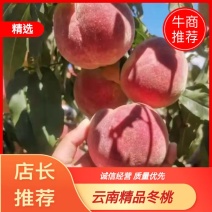 云南大理宾川冬桃11月底上市脆甜爽口货源充足欢迎咨询