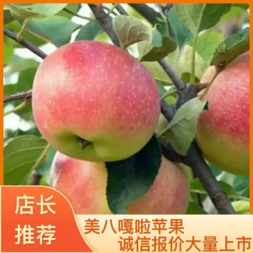 红富士苹果，红星，中秋王，早富士，美八，嘎啦上市。