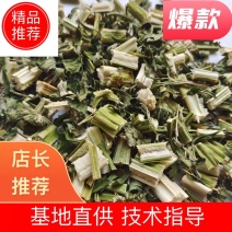 益母草坤草新货颜色好统产地山东省产地直销重
