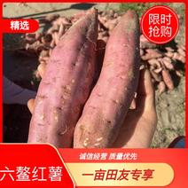 福建红薯，漳州红薯，漳浦红薯，北京红红薯基地一件代发