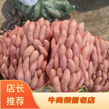 【新西瓜红红薯】货源稳定，全国代收代发，大量供应