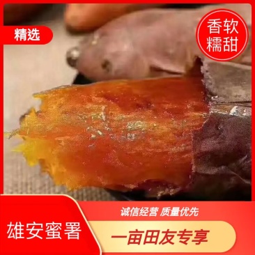 【红薯】香甜软糯量大从优，商超、电商、批发市场长期走货