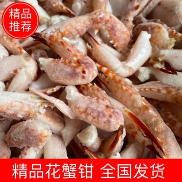 花蟹钳蟹钳螃蟹钳捞汁海鲜食材醉蟹钳海鲜水产批发