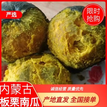 【有好货】产地直发内蒙古板栗南瓜货源充足品质保证