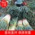 【货源充足】费县铁杆大葱，供应电商平台，超市、农贸市场