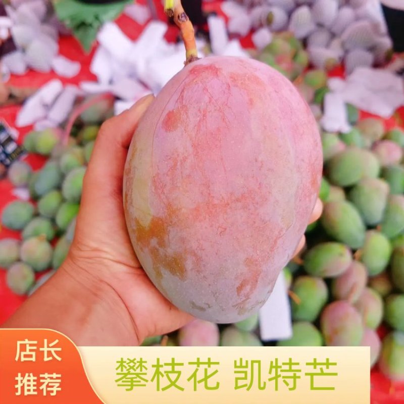 攀枝花凯特芒果10年芒果供应链全网一件代发