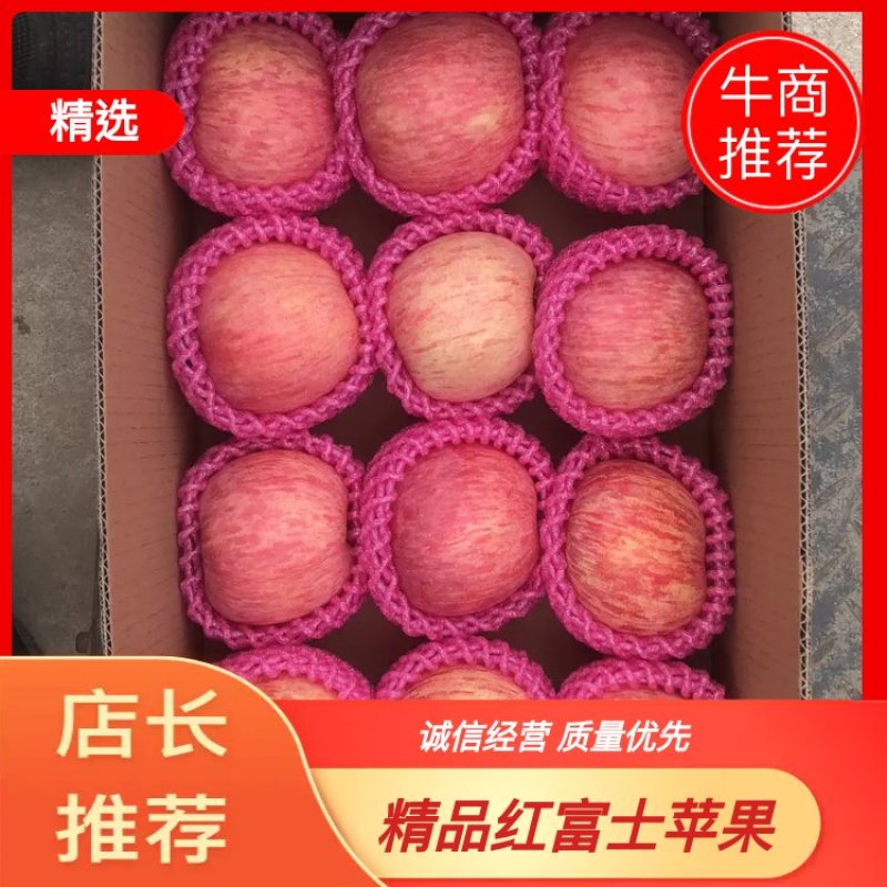 栖霞苹果红富士苹果条纹、片红三级高次大量出库