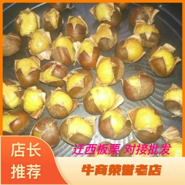河北老树板栗大量上市中，量大从优，包质量包服务包品质
