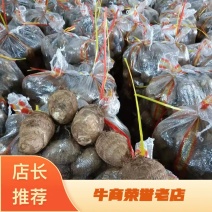 【牛商优选】优质8520毛芋头大量现货，货源充足