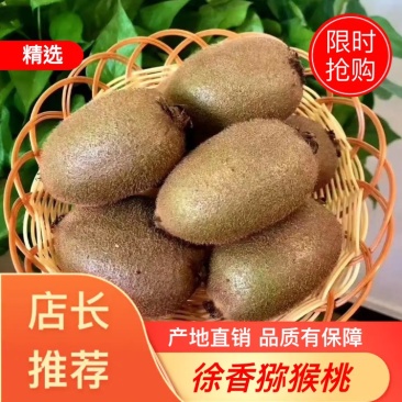 徐香猕猴桃自产自销品质有保障欢迎老板果园看货